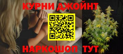 прущие грибы Гай